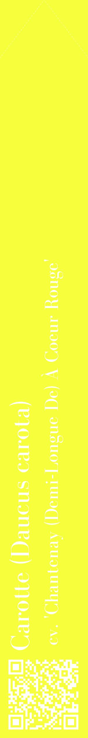 Étiquette de : Daucus carota cv. 'Chantenay (Demi-Longue De) À Coeur Rouge' - format c - style blanche18_simplebod avec qrcode et comestibilité