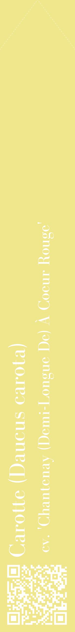 Étiquette de : Daucus carota cv. 'Chantenay (Demi-Longue De) À Coeur Rouge' - format c - style blanche20_simplebod avec qrcode et comestibilité