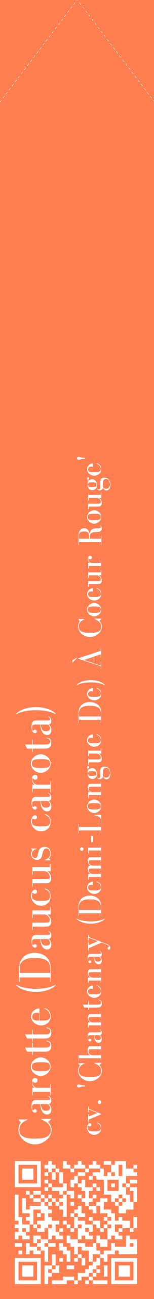 Étiquette de : Daucus carota cv. 'Chantenay (Demi-Longue De) À Coeur Rouge' - format c - style blanche24_simplebod avec qrcode et comestibilité
