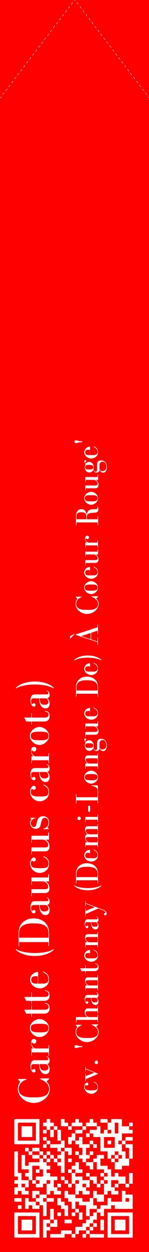 Étiquette de : Daucus carota cv. 'Chantenay (Demi-Longue De) À Coeur Rouge' - format c - style blanche27_simplebod avec qrcode et comestibilité