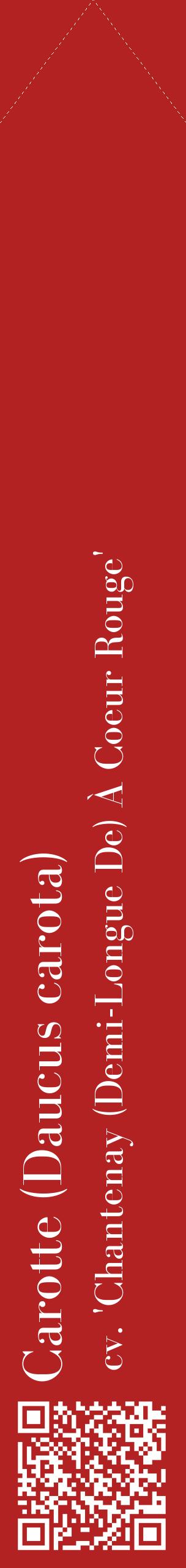 Étiquette de : Daucus carota cv. 'Chantenay (Demi-Longue De) À Coeur Rouge' - format c - style blanche28_simplebod avec qrcode et comestibilité
