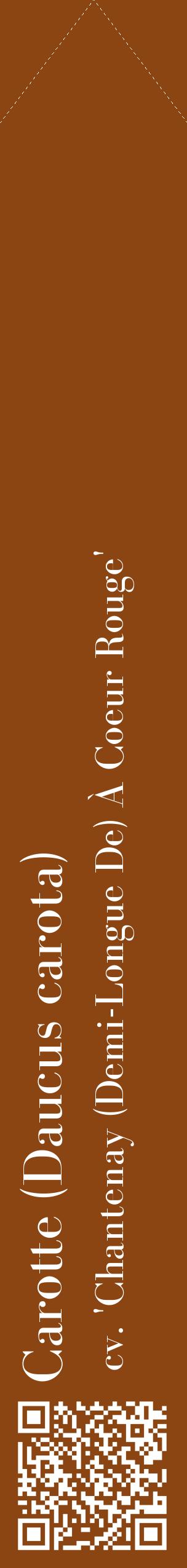 Étiquette de : Daucus carota cv. 'Chantenay (Demi-Longue De) À Coeur Rouge' - format c - style blanche30_simplebod avec qrcode et comestibilité