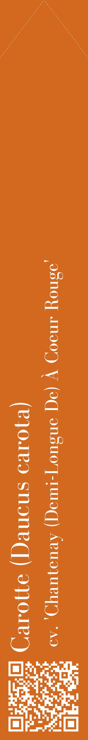 Étiquette de : Daucus carota cv. 'Chantenay (Demi-Longue De) À Coeur Rouge' - format c - style blanche31_simplebod avec qrcode et comestibilité