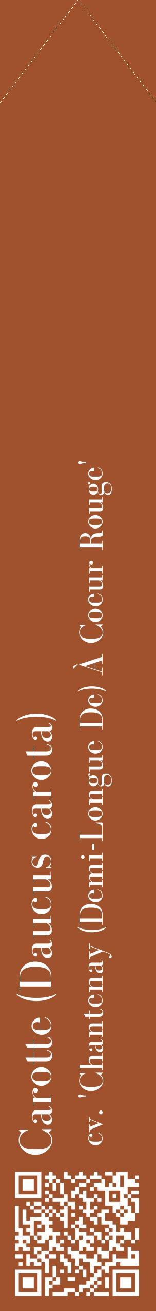 Étiquette de : Daucus carota cv. 'Chantenay (Demi-Longue De) À Coeur Rouge' - format c - style blanche32_simplebod avec qrcode et comestibilité