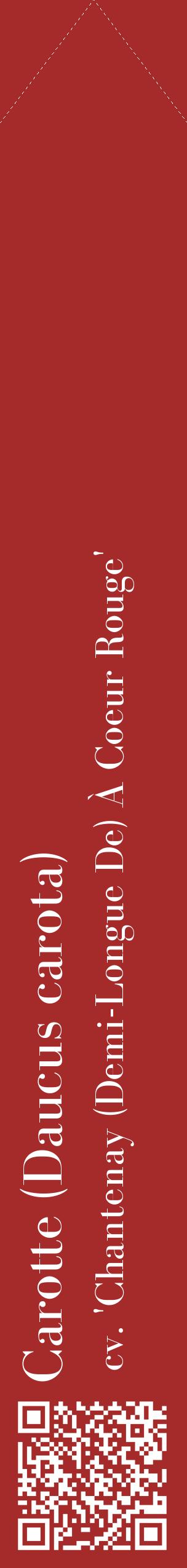 Étiquette de : Daucus carota cv. 'Chantenay (Demi-Longue De) À Coeur Rouge' - format c - style blanche33_simplebod avec qrcode et comestibilité