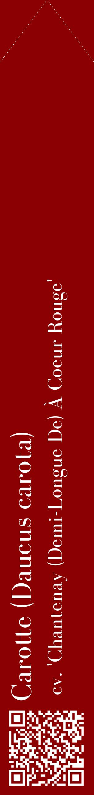 Étiquette de : Daucus carota cv. 'Chantenay (Demi-Longue De) À Coeur Rouge' - format c - style blanche34_simplebod avec qrcode et comestibilité