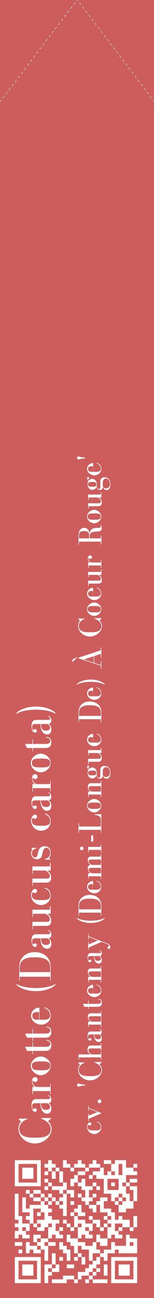 Étiquette de : Daucus carota cv. 'Chantenay (Demi-Longue De) À Coeur Rouge' - format c - style blanche35_simplebod avec qrcode et comestibilité