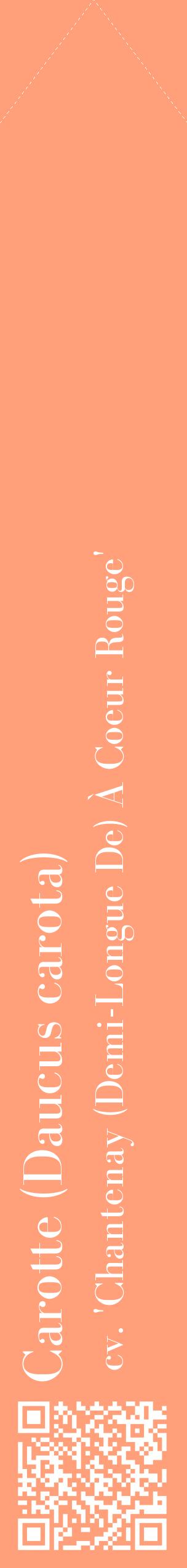 Étiquette de : Daucus carota cv. 'Chantenay (Demi-Longue De) À Coeur Rouge' - format c - style blanche39_simplebod avec qrcode et comestibilité