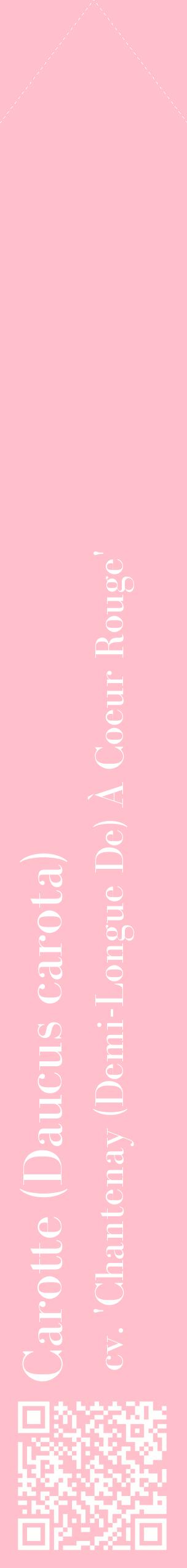 Étiquette de : Daucus carota cv. 'Chantenay (Demi-Longue De) À Coeur Rouge' - format c - style blanche40_simplebod avec qrcode et comestibilité