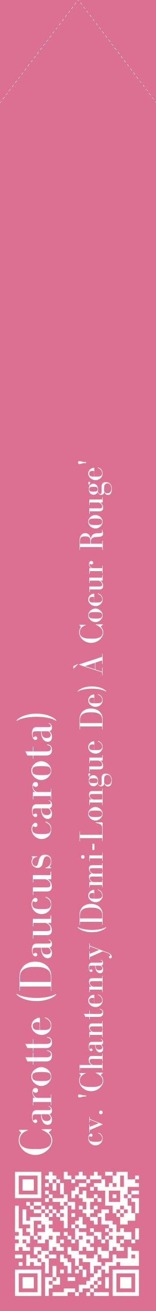 Étiquette de : Daucus carota cv. 'Chantenay (Demi-Longue De) À Coeur Rouge' - format c - style blanche44_simplebod avec qrcode et comestibilité