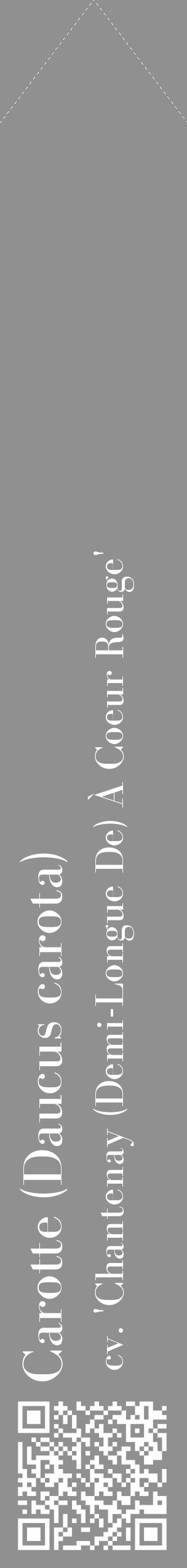Étiquette de : Daucus carota cv. 'Chantenay (Demi-Longue De) À Coeur Rouge' - format c - style blanche4_simple_simplebod avec qrcode et comestibilité - position verticale