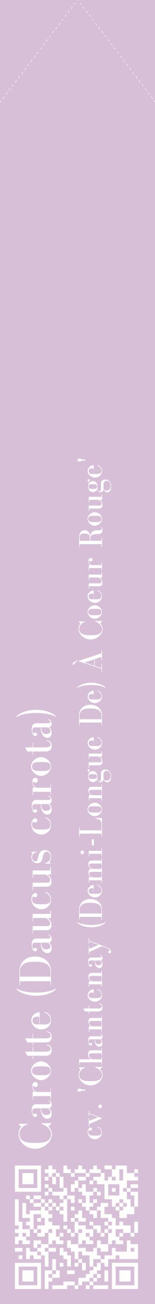 Étiquette de : Daucus carota cv. 'Chantenay (Demi-Longue De) À Coeur Rouge' - format c - style blanche54_simplebod avec qrcode et comestibilité