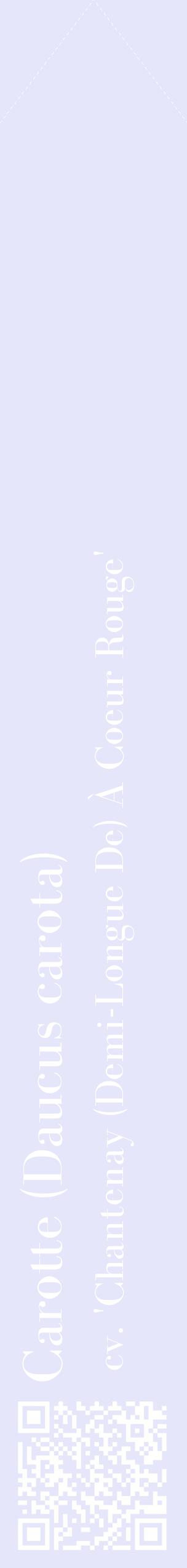 Étiquette de : Daucus carota cv. 'Chantenay (Demi-Longue De) À Coeur Rouge' - format c - style blanche55_simplebod avec qrcode et comestibilité