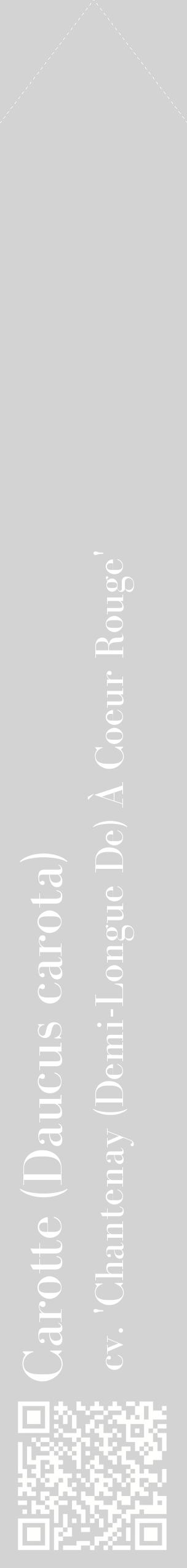 Étiquette de : Daucus carota cv. 'Chantenay (Demi-Longue De) À Coeur Rouge' - format c - style blanche56_simplebod avec qrcode et comestibilité