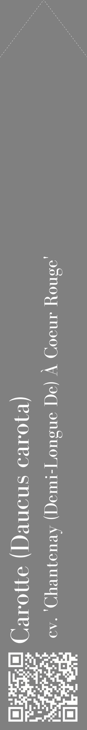 Étiquette de : Daucus carota cv. 'Chantenay (Demi-Longue De) À Coeur Rouge' - format c - style blanche57_simplebod avec qrcode et comestibilité
