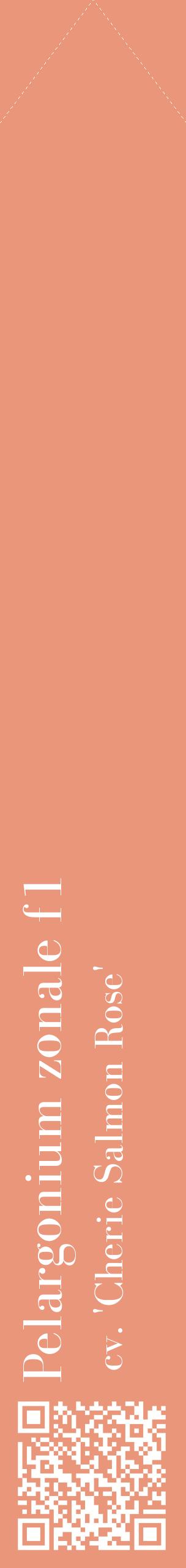 Étiquette de : Pelargonium zonale f1 cv. 'Cherie Salmon Rose' - format c - style blanche37_simplebod avec qrcode et comestibilité
