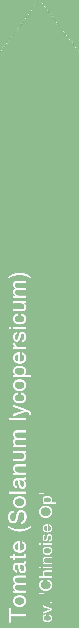 Étiquette de : Solanum lycopersicum cv. 'Chinoise Op' - format c - style blanche13_simplehel avec comestibilité