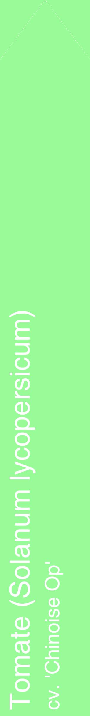 Étiquette de : Solanum lycopersicum cv. 'Chinoise Op' - format c - style blanche14_simplehel avec comestibilité