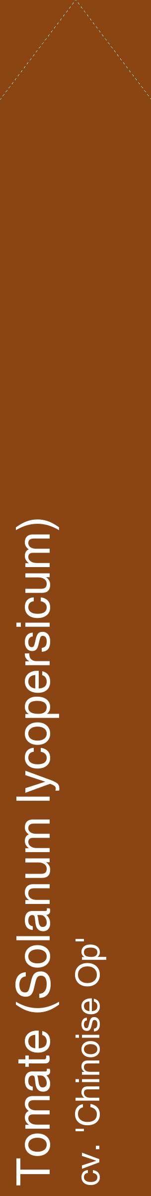 Étiquette de : Solanum lycopersicum cv. 'Chinoise Op' - format c - style blanche30_simplehel avec comestibilité