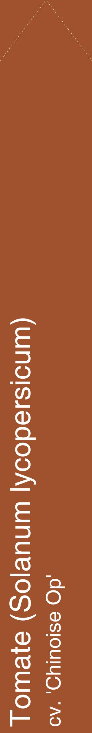 Étiquette de : Solanum lycopersicum cv. 'Chinoise Op' - format c - style blanche32_simplehel avec comestibilité