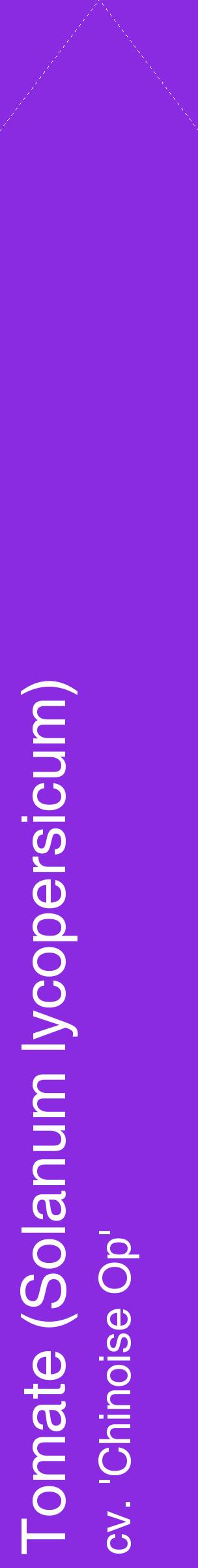 Étiquette de : Solanum lycopersicum cv. 'Chinoise Op' - format c - style blanche49_simplehel avec comestibilité