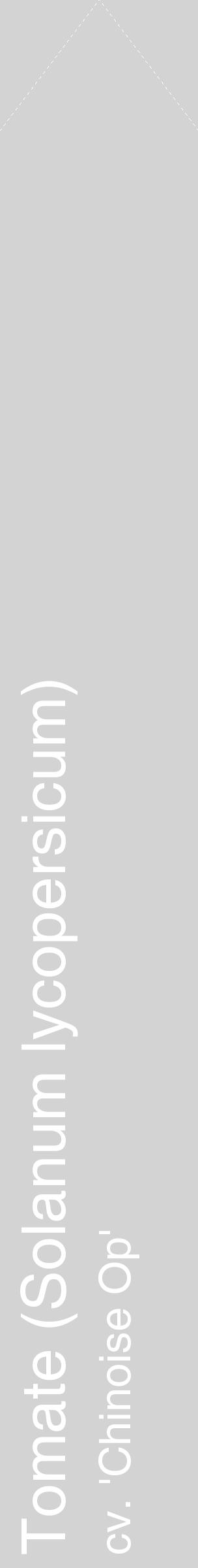Étiquette de : Solanum lycopersicum cv. 'Chinoise Op' - format c - style blanche56_simplehel avec comestibilité