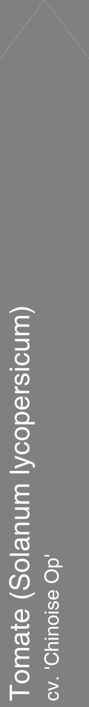 Étiquette de : Solanum lycopersicum cv. 'Chinoise Op' - format c - style blanche57_simplehel avec comestibilité