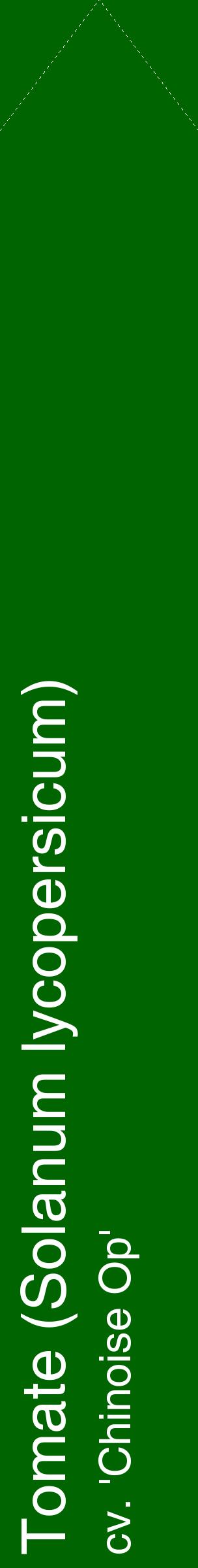Étiquette de : Solanum lycopersicum cv. 'Chinoise Op' - format c - style blanche8_simplehel avec comestibilité