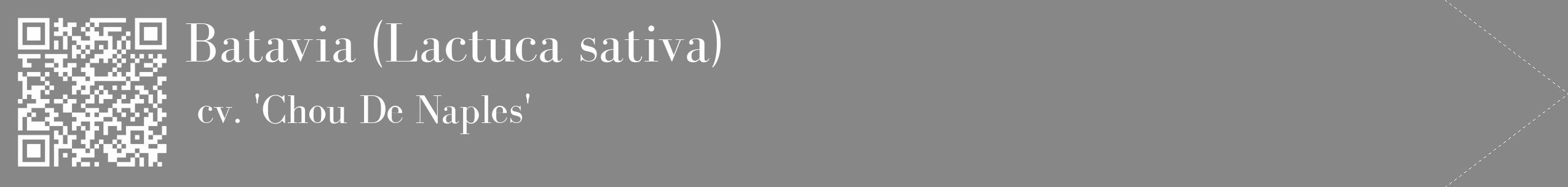 Étiquette de : Lactuca sativa cv. 'Chou De Naples' - format c - style blanche12_simple_simplebod avec qrcode et comestibilité