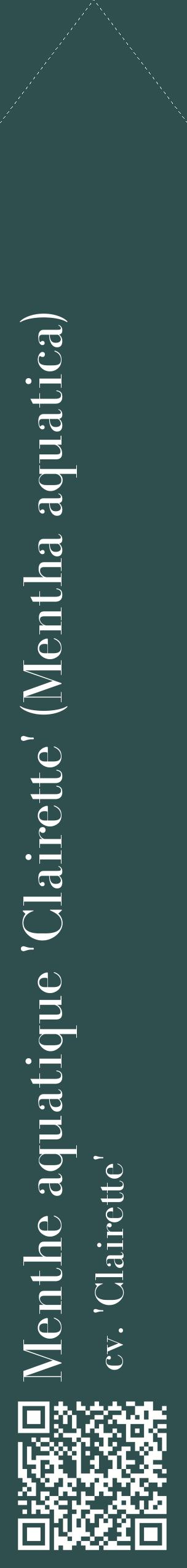 Étiquette de : Mentha aquatica cv. 'Clairette' - format c - style blanche58_simplebod avec qrcode et comestibilité