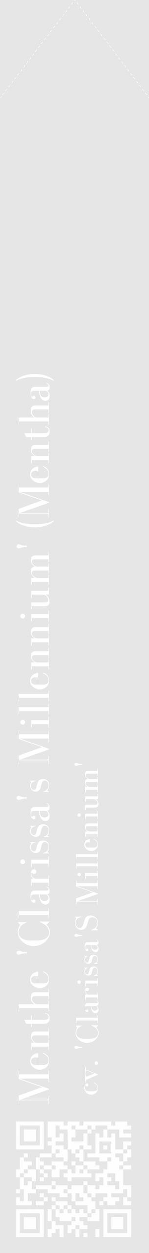 Étiquette de : Mentha cv. 'Clarissa'S Millenium' - format c - style blanche18_simple_simplebod avec qrcode et comestibilité - position verticale