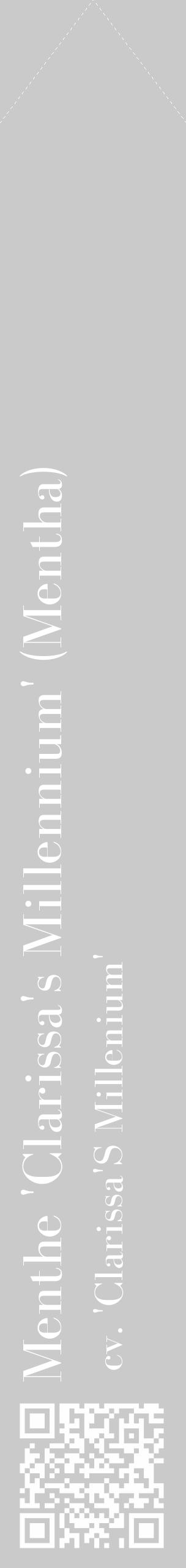 Étiquette de : Mentha cv. 'Clarissa'S Millenium' - format c - style blanche21_simple_simplebod avec qrcode et comestibilité - position verticale