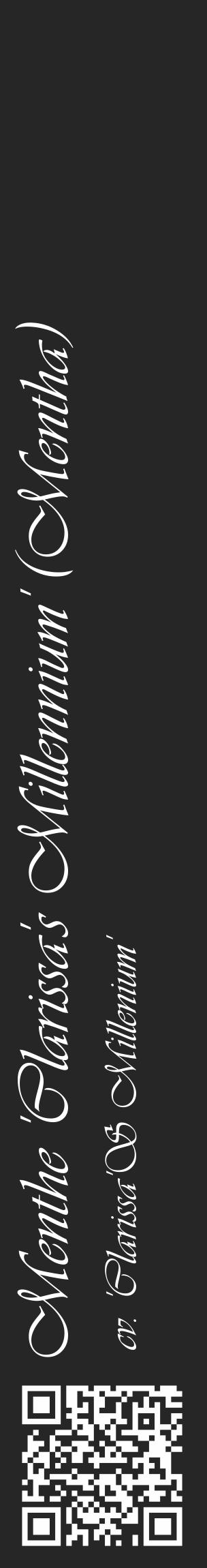 Étiquette de : Mentha cv. 'Clarissa'S Millenium' - format c - style blanche29_basique_basiqueviv avec qrcode et comestibilité - position verticale