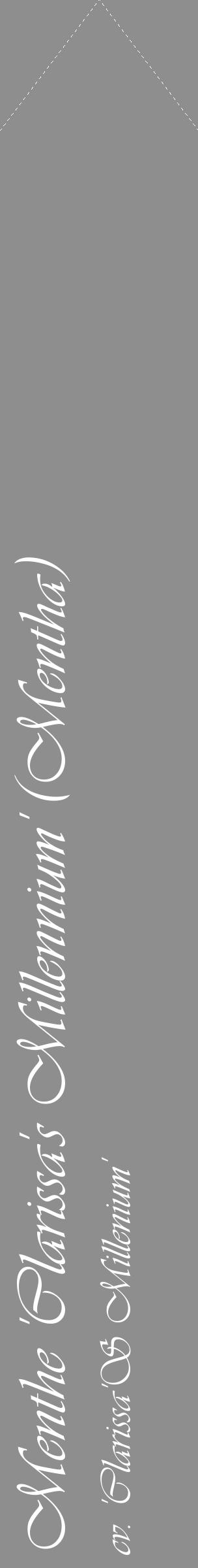Étiquette de : Mentha cv. 'Clarissa'S Millenium' - format c - style blanche25_simple_simpleviv avec comestibilité - position verticale