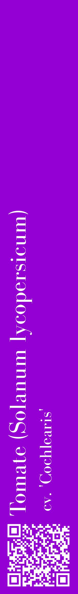 Étiquette de : Solanum lycopersicum cv. 'Cochlearis' - format c - style blanche48_basiquebod avec qrcode et comestibilité