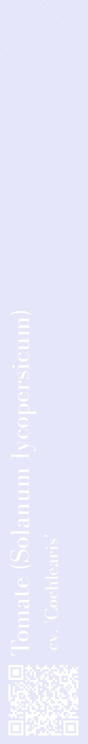 Étiquette de : Solanum lycopersicum cv. 'Cochlearis' - format c - style blanche55_simplebod avec qrcode et comestibilité