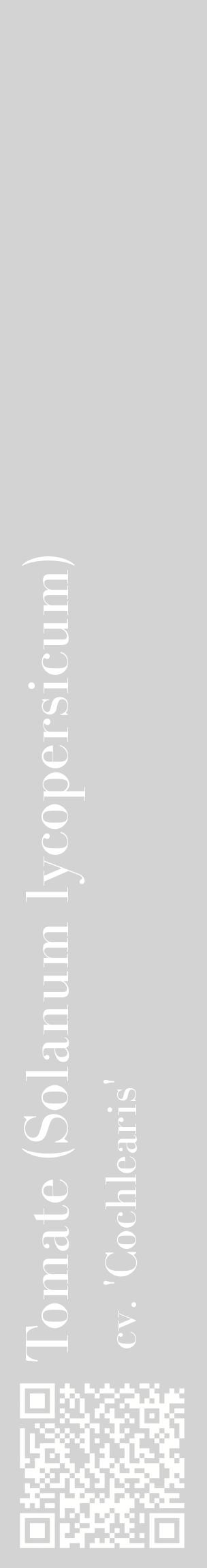 Étiquette de : Solanum lycopersicum cv. 'Cochlearis' - format c - style blanche56_basiquebod avec qrcode et comestibilité