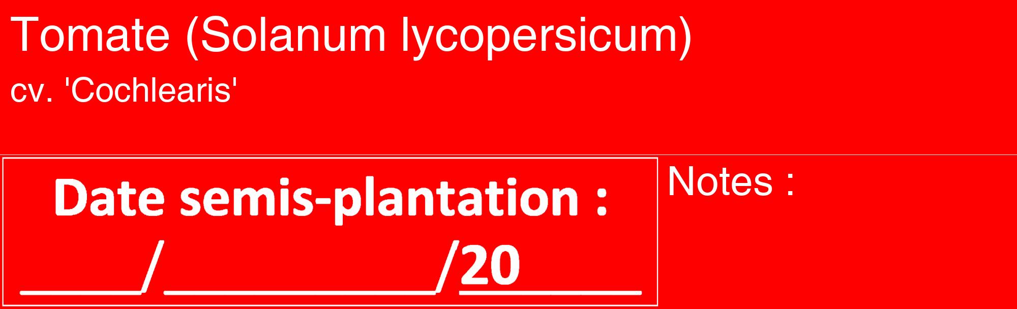Étiquette de : Solanum lycopersicum cv. 'Cochlearis' - format c - style blanche27_basique_basiquehel avec comestibilité