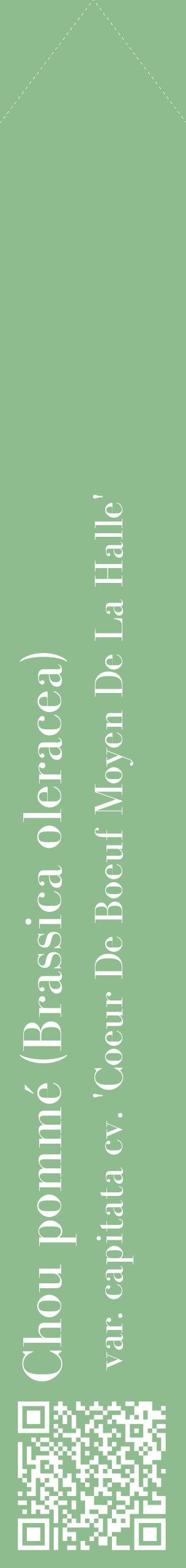 Étiquette de : Brassica oleracea var. capitata cv. 'Coeur De Boeuf Moyen De La Halle' - format c - style blanche13_simplebod avec qrcode et comestibilité
