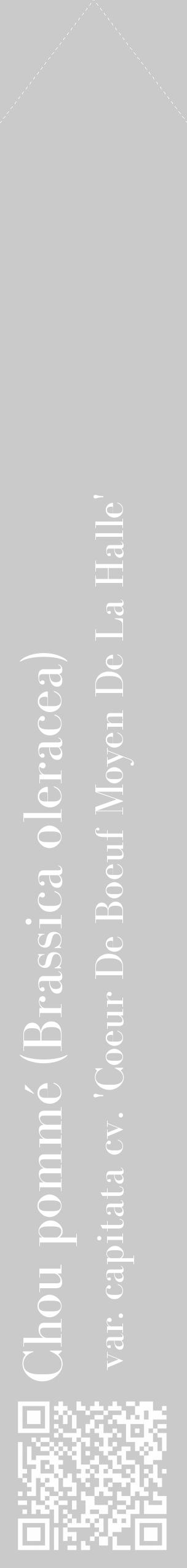 Étiquette de : Brassica oleracea var. capitata cv. 'Coeur De Boeuf Moyen De La Halle' - format c - style blanche21_simple_simplebod avec qrcode et comestibilité - position verticale