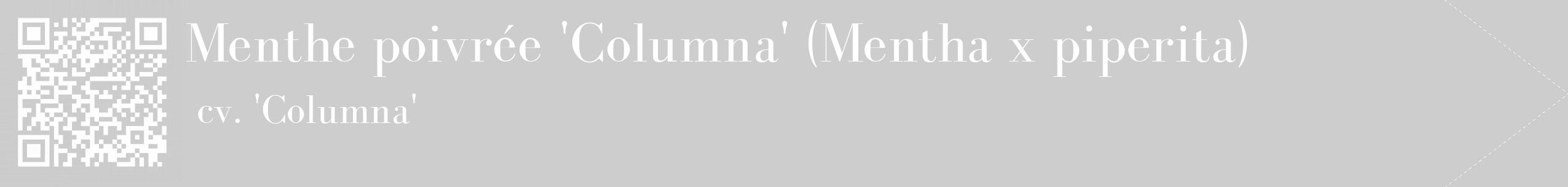 Étiquette de : Mentha x piperita cv. 'Columna' - format c - style blanche41_simple_simplebod avec qrcode et comestibilité