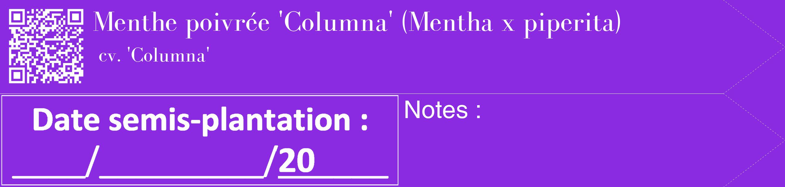 Étiquette de : Mentha x piperita cv. 'Columna' - format c - style blanche49_simple_simplebod avec qrcode et comestibilité