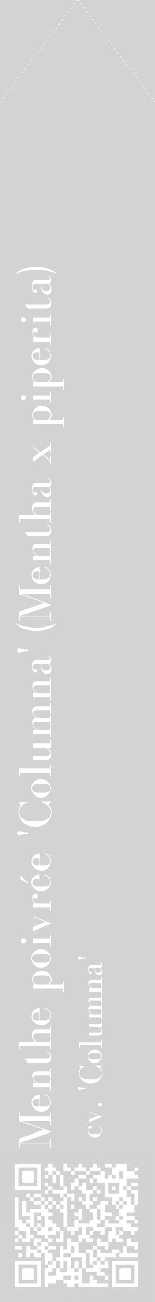 Étiquette de : Mentha x piperita cv. 'Columna' - format c - style blanche56_simplebod avec qrcode et comestibilité