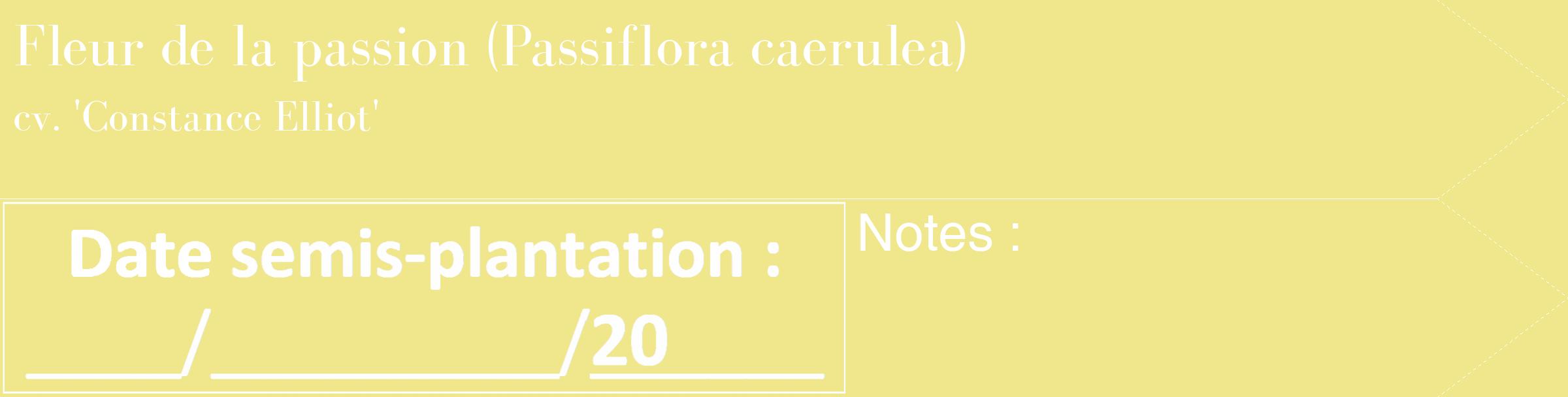 Étiquette de : Passiflora caerulea cv. 'Constance Elliot' - format c - style blanche20_simple_simplebod avec comestibilité
