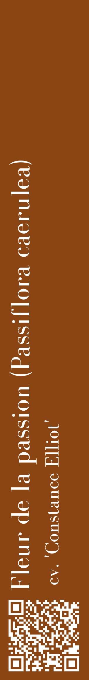 Étiquette de : Passiflora caerulea cv. 'Constance Elliot' - format c - style blanche30_basiquebod avec qrcode et comestibilité
