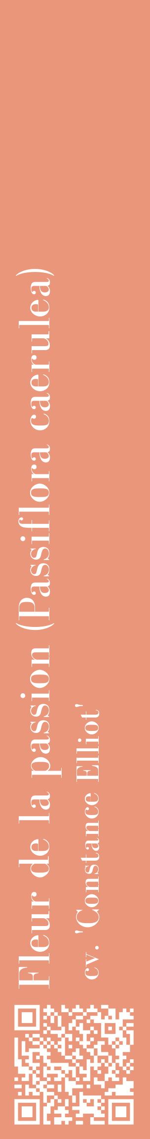 Étiquette de : Passiflora caerulea cv. 'Constance Elliot' - format c - style blanche37_basiquebod avec qrcode et comestibilité