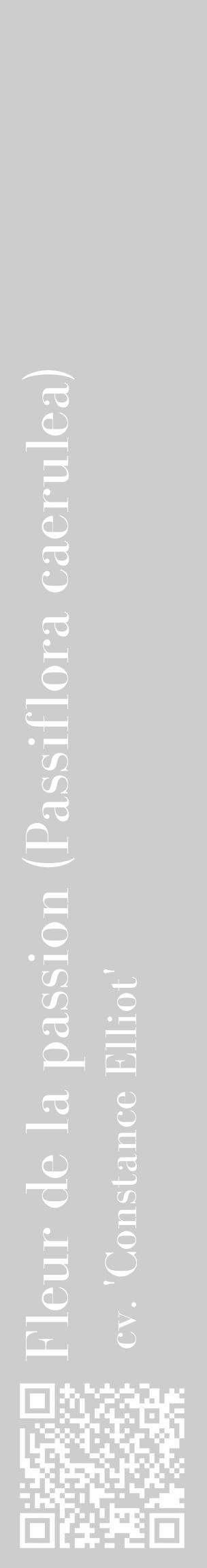 Étiquette de : Passiflora caerulea cv. 'Constance Elliot' - format c - style blanche41_basique_basiquebod avec qrcode et comestibilité - position verticale