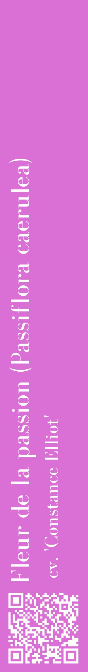 Étiquette de : Passiflora caerulea cv. 'Constance Elliot' - format c - style blanche52_basiquebod avec qrcode et comestibilité