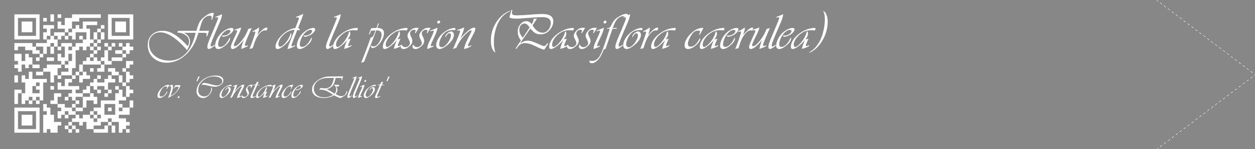 Étiquette de : Passiflora caerulea cv. 'Constance Elliot' - format c - style blanche12_simple_simpleviv avec qrcode et comestibilité