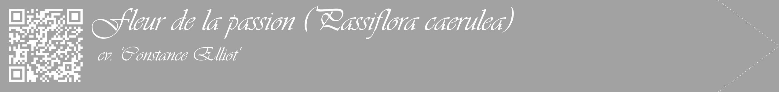 Étiquette de : Passiflora caerulea cv. 'Constance Elliot' - format c - style blanche38_simple_simpleviv avec qrcode et comestibilité